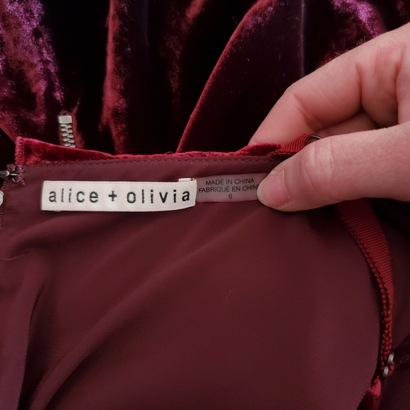 Alice + Olivia Bess Ombre Velvet Sleeveless Slip Dress Size 6 Classic Boho Chic - Picture 9 of 14